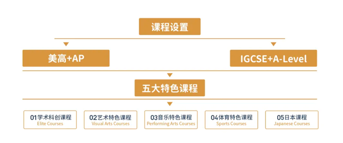 上海日本高中|上海诺美学校日本 SGU项目2025